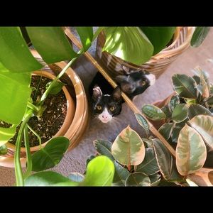 Meet your Posher, Riley